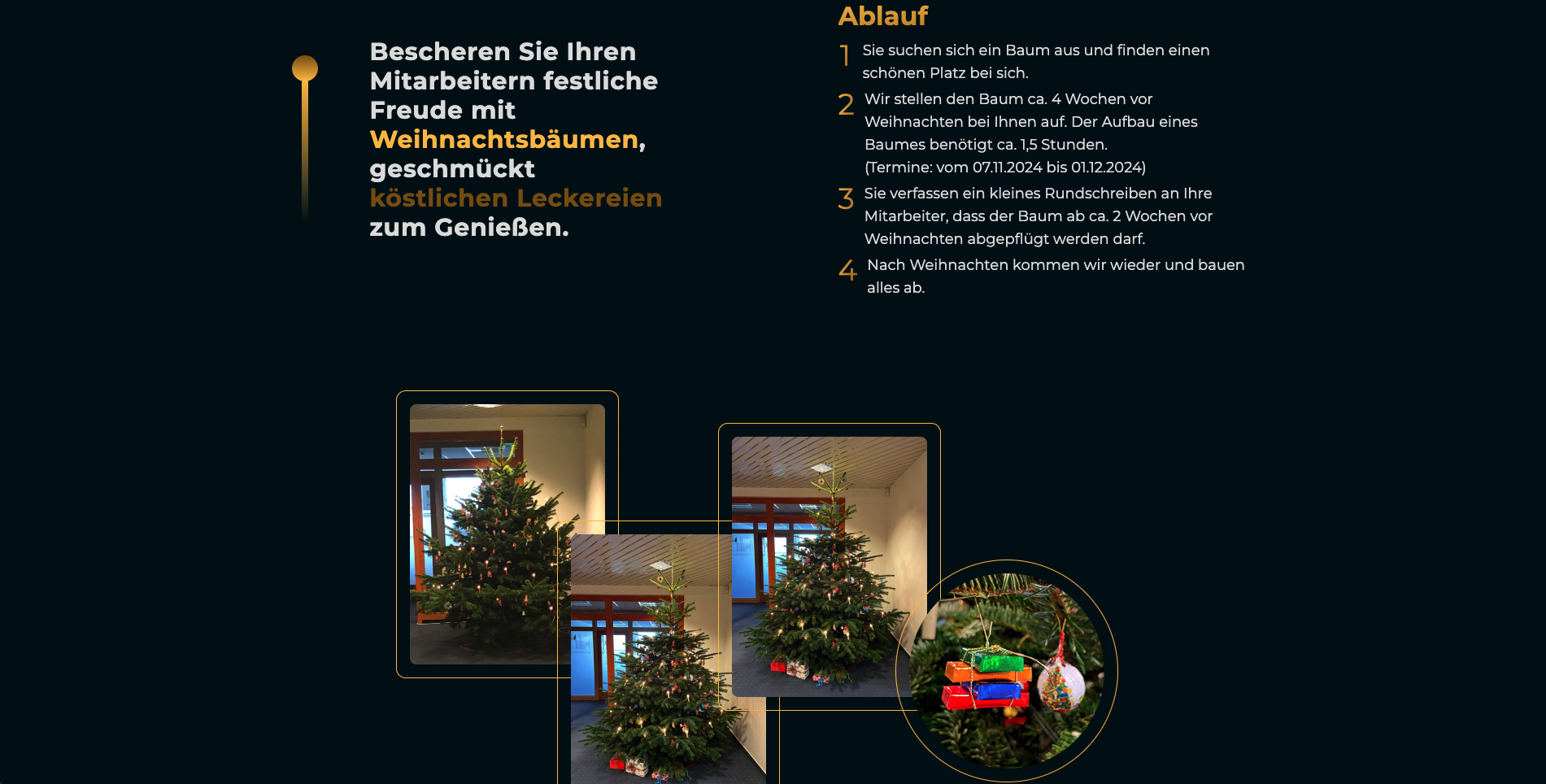 Knfktree Website Entwicklung 2