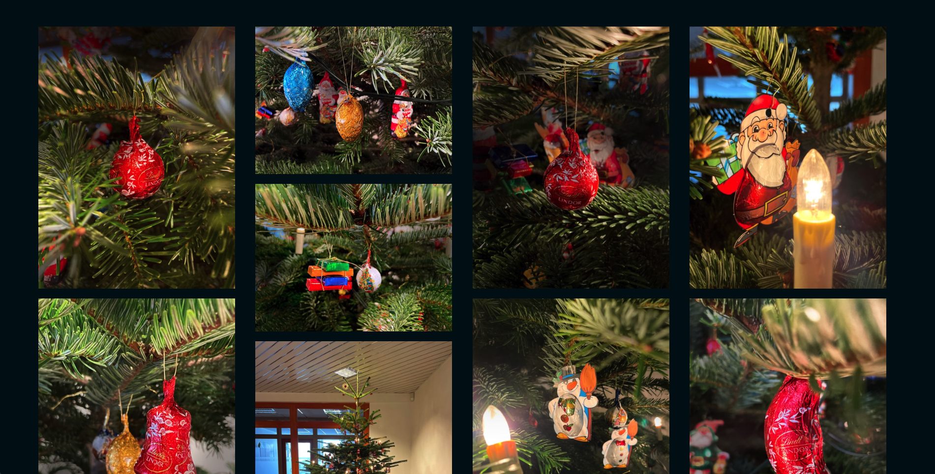 Knfktree Website Entwicklung 4